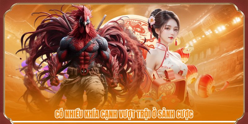 Có nhiều khía cạnh vượt trội ở sảnh cược