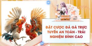 Đặt Cược Đá Gà Trực Tuyến An Toàn - Trải Nghiệm Đỉnh Cao