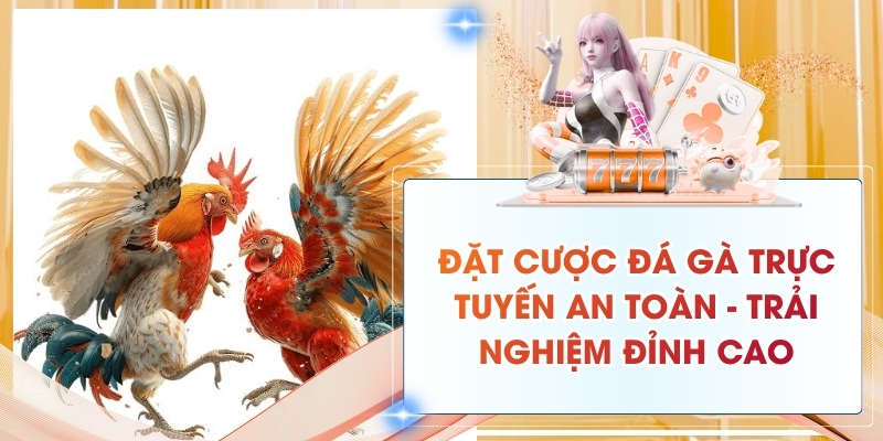 Đặt Cược Đá Gà Trực Tuyến An Toàn - Trải Nghiệm Đỉnh Cao