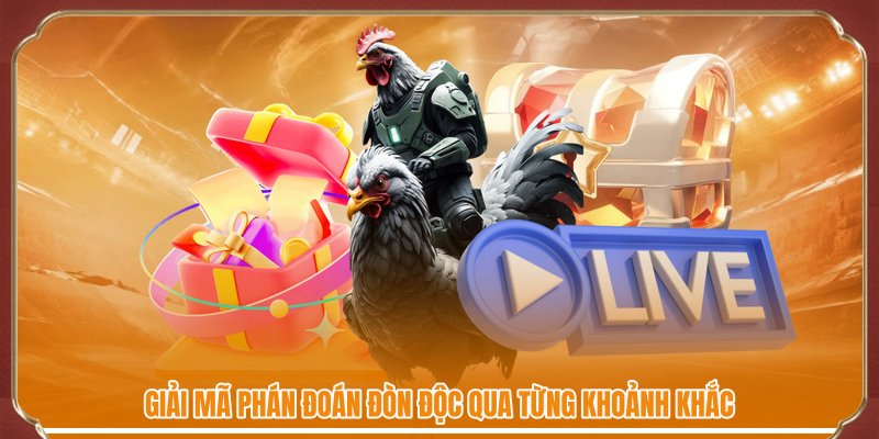 Giải mã phán đoán đòn độc qua từng khoảnh khắc