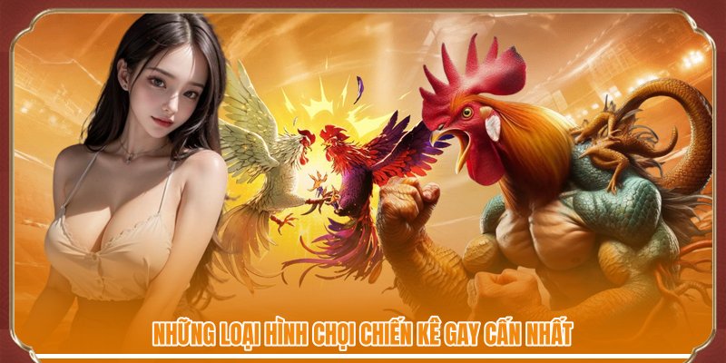 Những loại hình chọi chiến kê gay cấn nhất