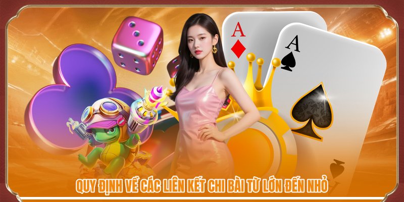 Quy định về các liên kết chi bài từ lớn đến nhỏ